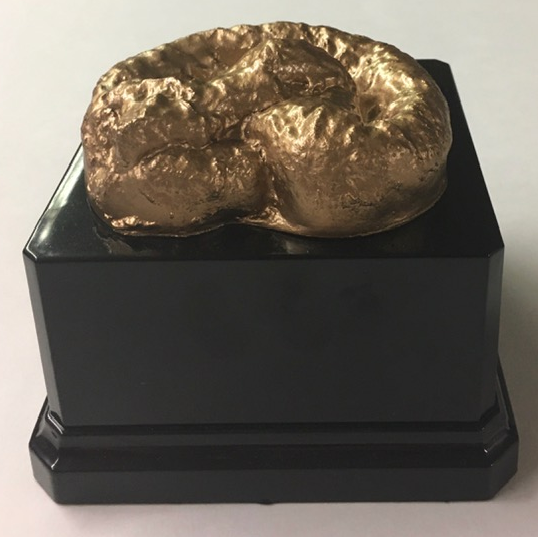 Golden Turd Award