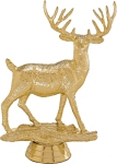 Buck Deer Trophy